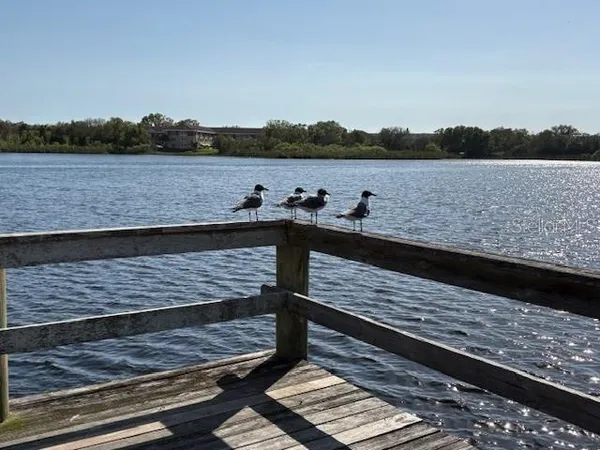 $279,000 | 2170 Americus Boulevard South, Unit 4, Clearwater, FL 33763