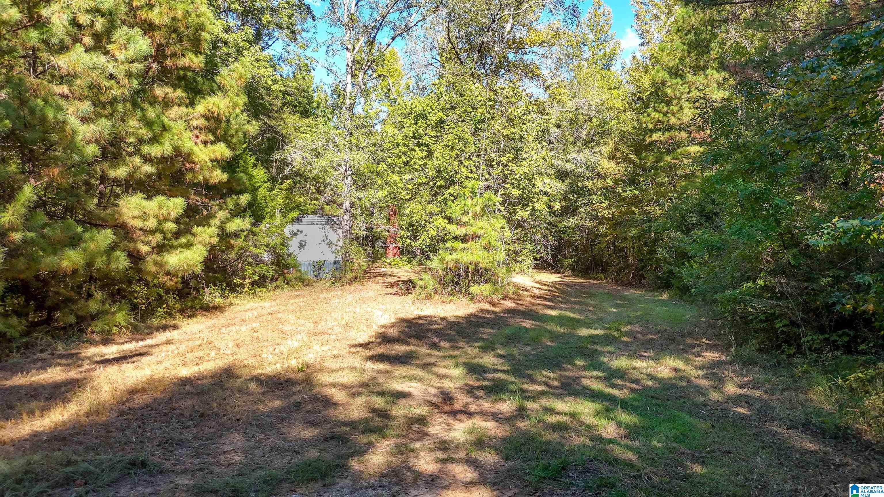 0 Montevallo Road, Unit 1 Centreville, AL 35042 - Photo 7 of 8 Gallery Image 7