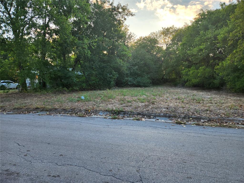 a view of a dry yard with trees
