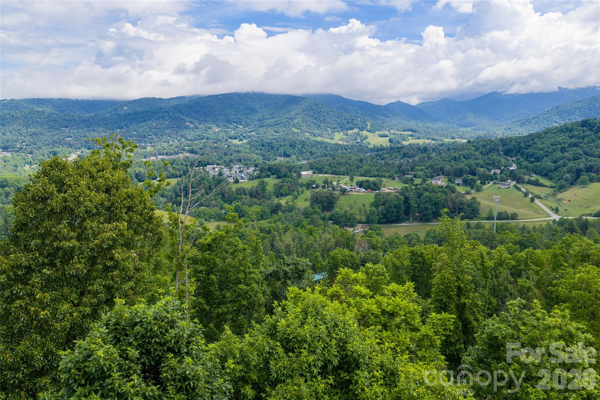 0 Bear Vw Road Weaverville, NC 28787 - Photo 28 of 34