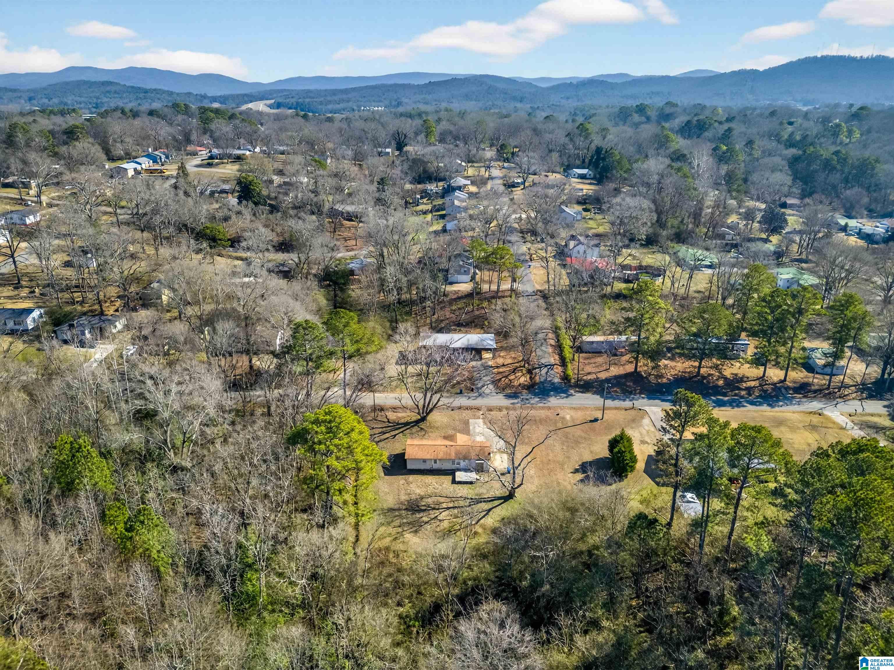 4100 Bryan Avenue Anniston, AL 36206 - Photo 32 of 34