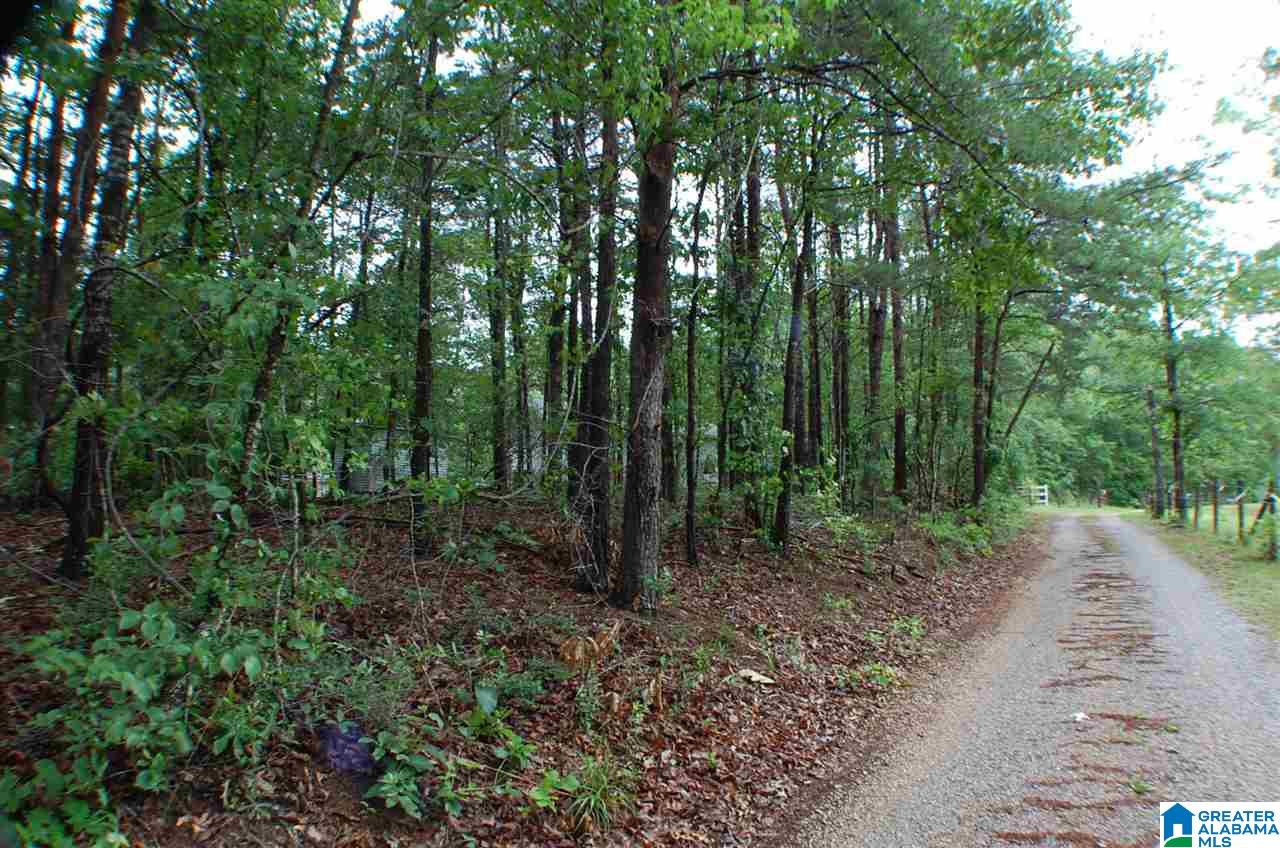 950 County Road 478, Unit 1 Clanton, AL 35046 - Photo 27 of 31