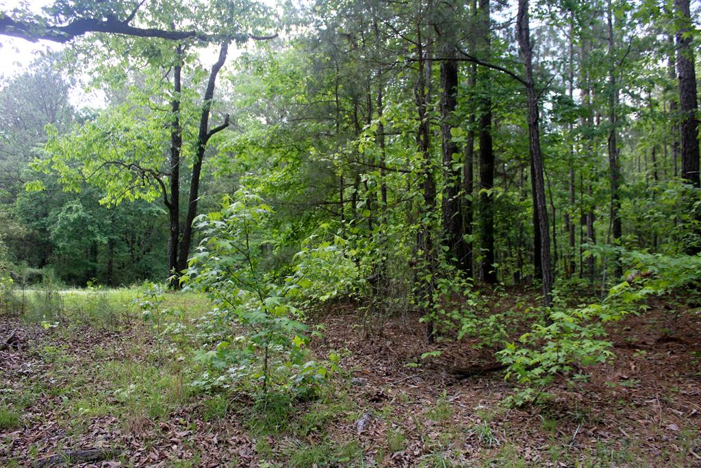 0 Mount Carmel Road Newnan, GA 30263 - Photo 1 of 6 Main View