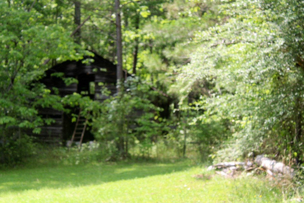 0 Mount Carmel Road Newnan, GA 30263 - Photo 5 of 6