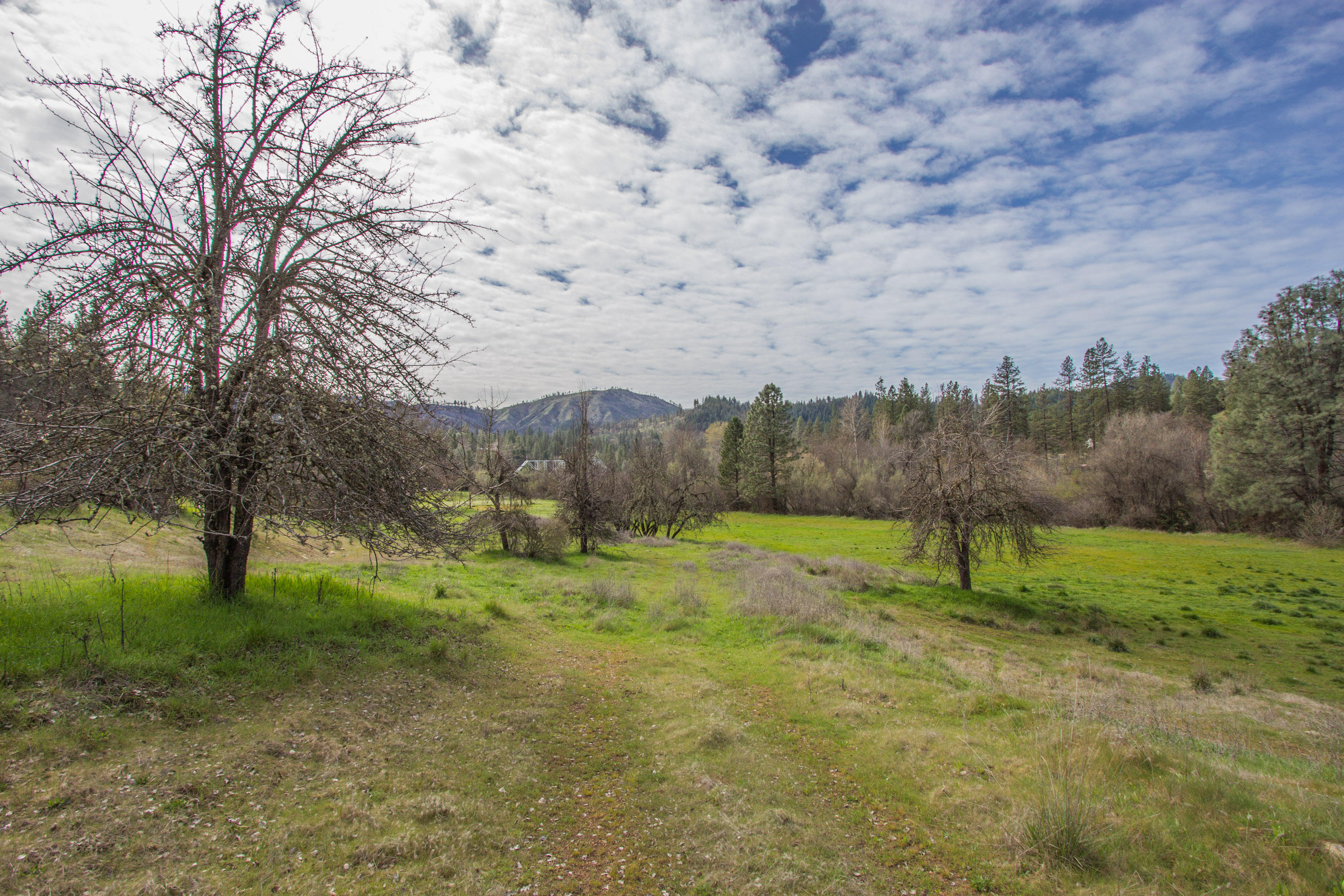 Deadwood Road Lewiston, CA 96052 - Photo 1 of 15 a view of grassy field with trees