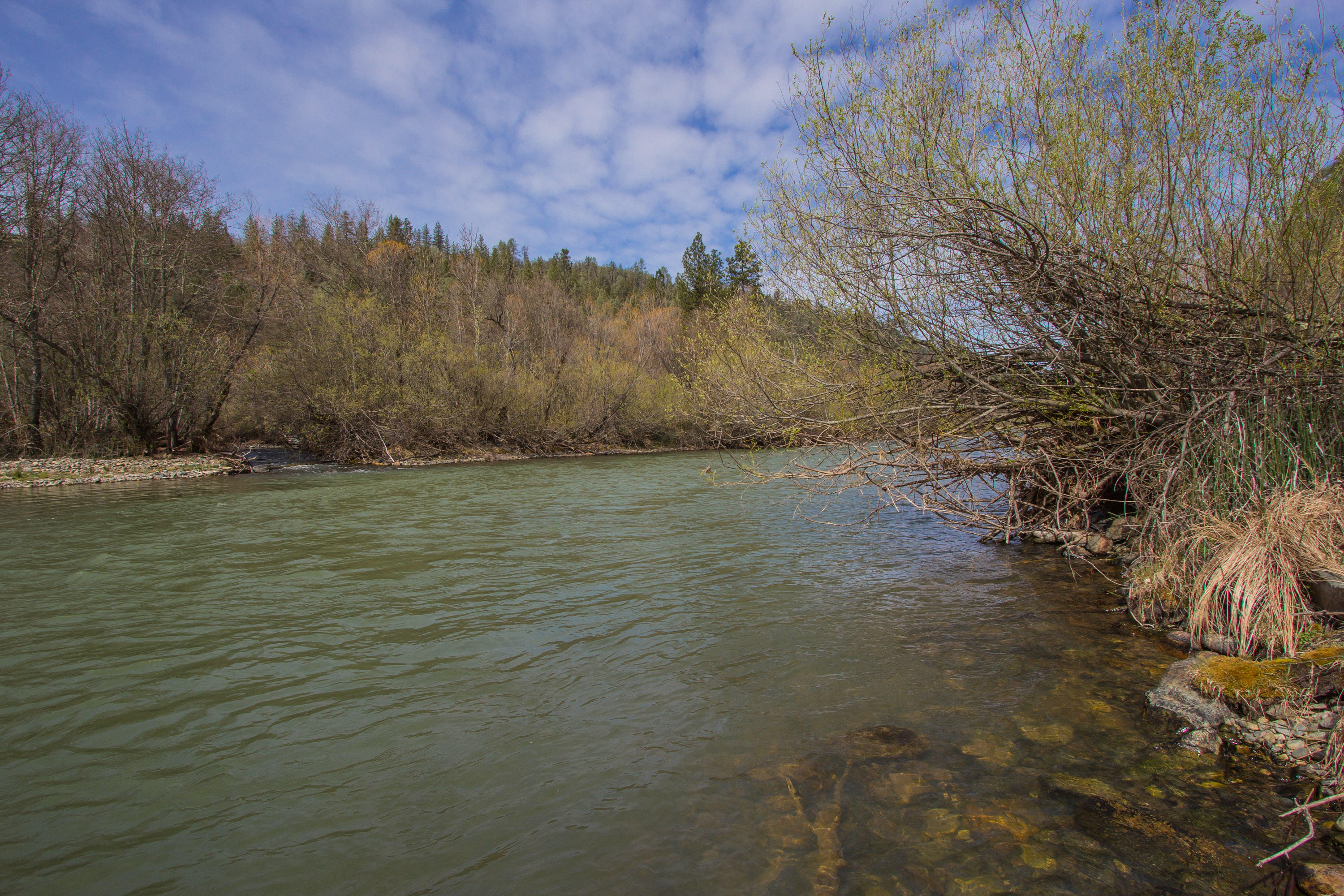 Deadwood Road Lewiston, CA 96052 - Photo 12 of 15 a view of a lake view