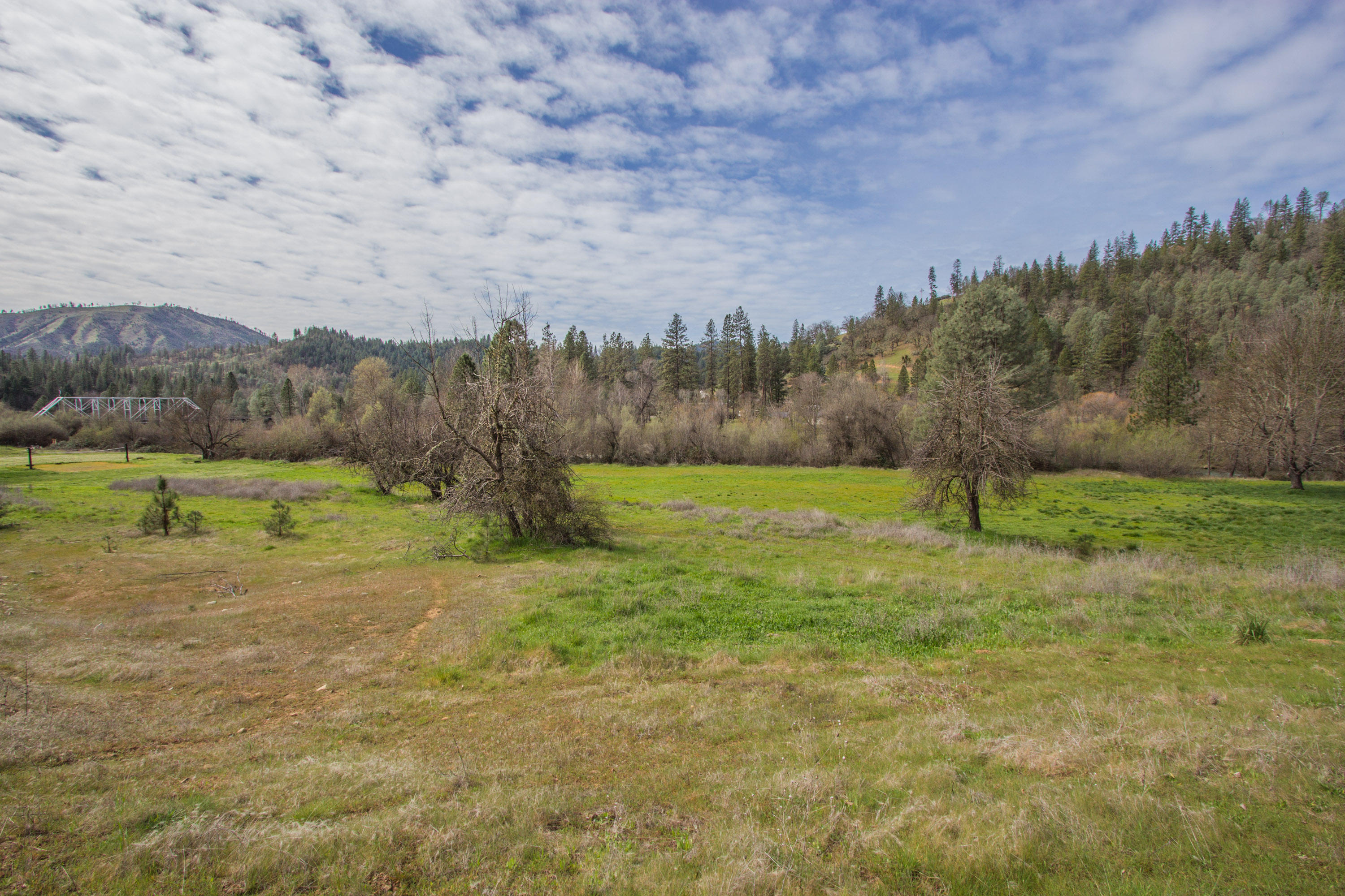 Deadwood Road Lewiston, CA 96052 - Photo 5 of 15 a view of a field with an trees