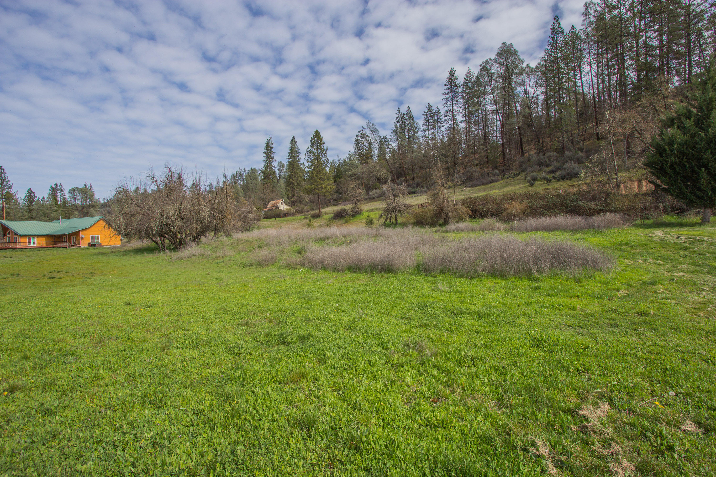 Deadwood Road Lewiston, CA 96052 - Photo 9 of 15 a view of an outdoor space and a yard