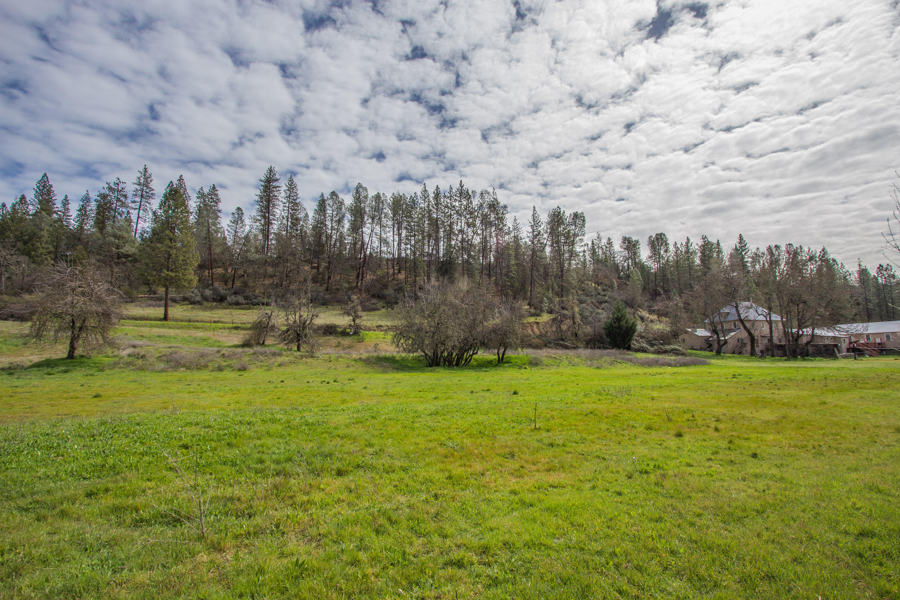 Deadwood Road Lewiston, CA 96052 - Photo 10 of 15 a view of a big yard
