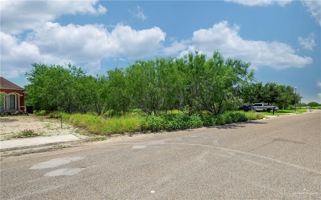0 Shady Grove Drive Rio Grande City, TX 78582 - Photo 10 of 12