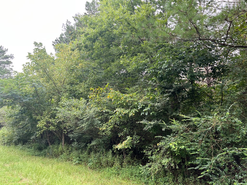 0 Northwest Kirk Road White, GA 30184 - Photo 2 of 2