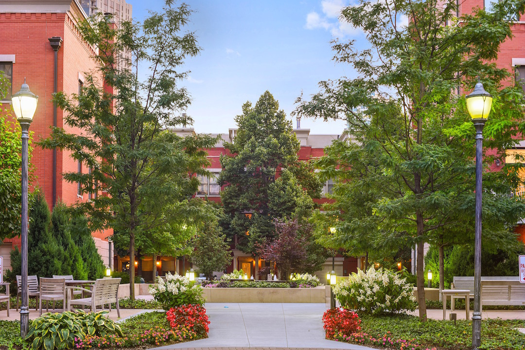 501 North Clinton Street, Unit 2302 Chicago, IL 60654 - Photo 19 of 20 a view of a park with large trees
