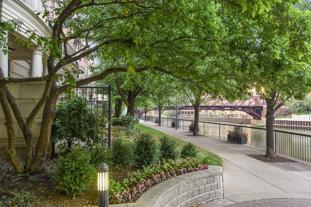 501 North Clinton Street, Unit 2302 Chicago, IL 60654 - Photo 20 of 20 a view of a garden with trees