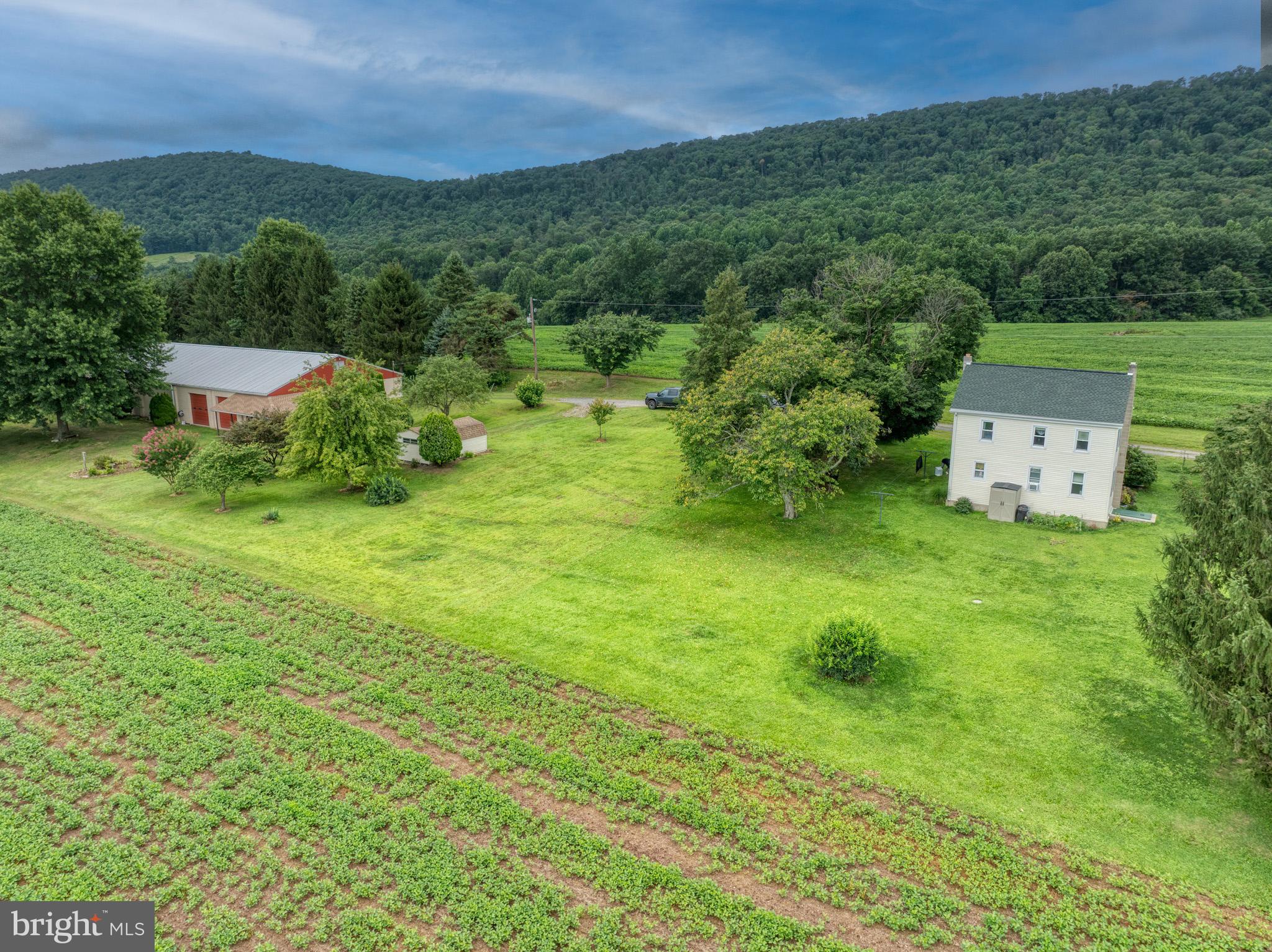 158 C Pleasant View Road Halifax, PA 17032 - Photo 27 of 59 a view of a lush green space