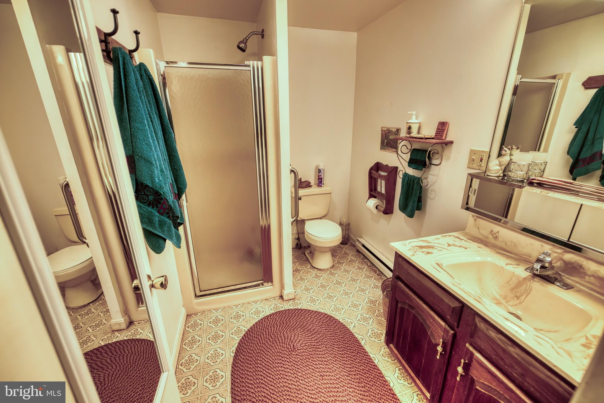 158 C Pleasant View Road Halifax, PA 17032 - Photo 35 of 59 a bathroom with a sink a toilet a mirror and shower