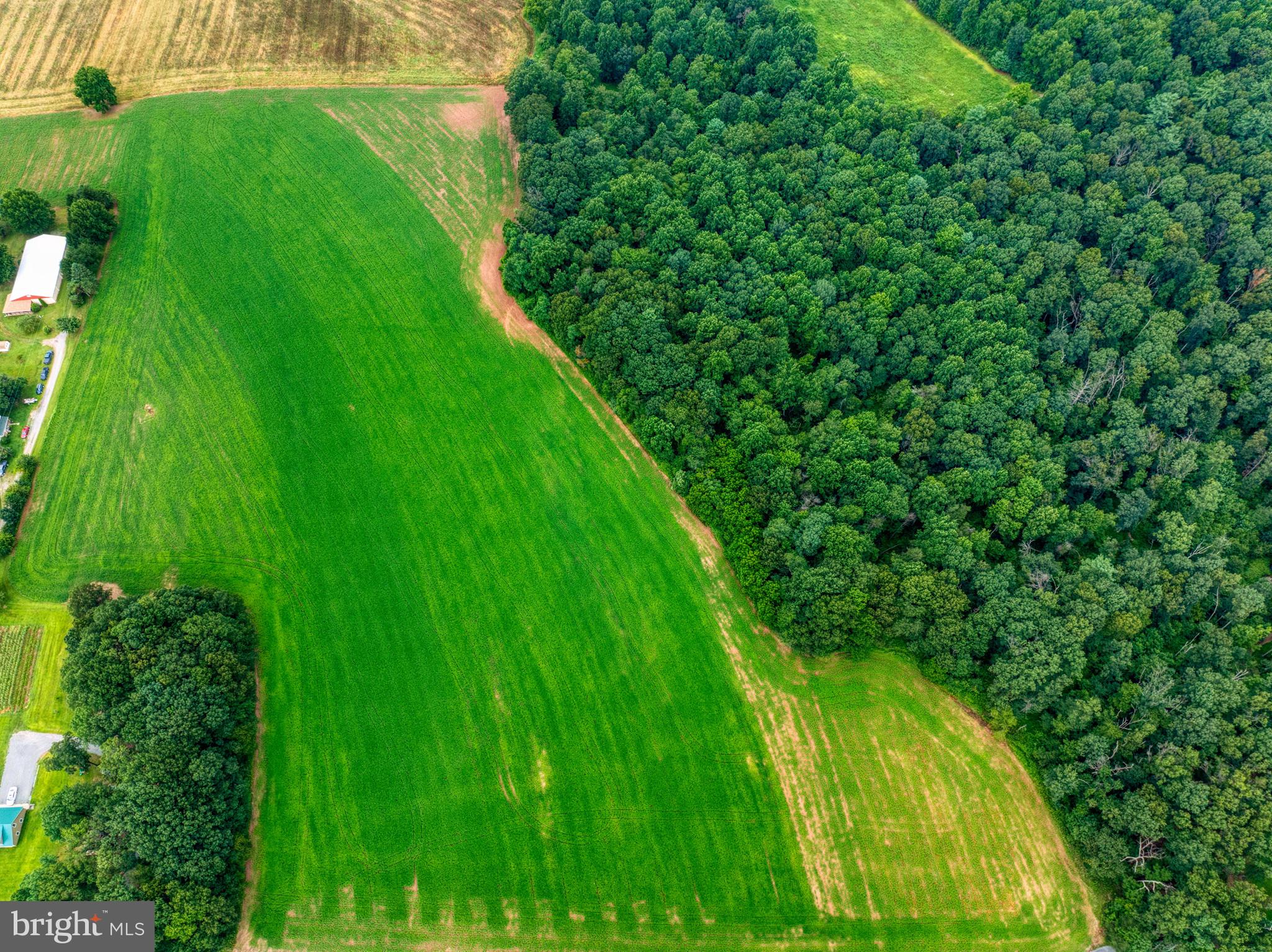 158 C Pleasant View Road Halifax, PA 17032 - Photo 46 of 59 a view of a garden
