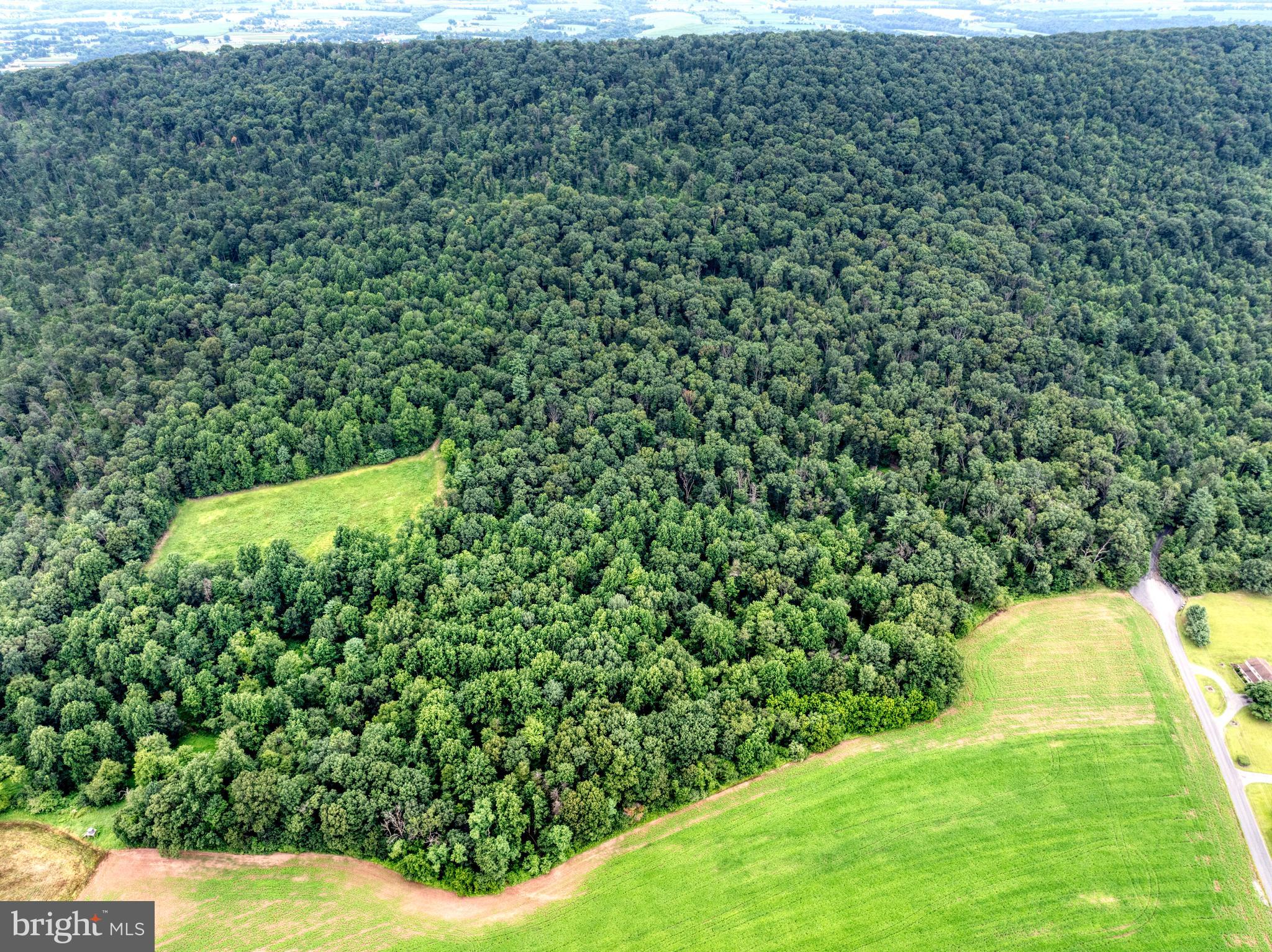 158 C Pleasant View Road Halifax, PA 17032 - Photo 47 of 59 a view of a yard with a plant