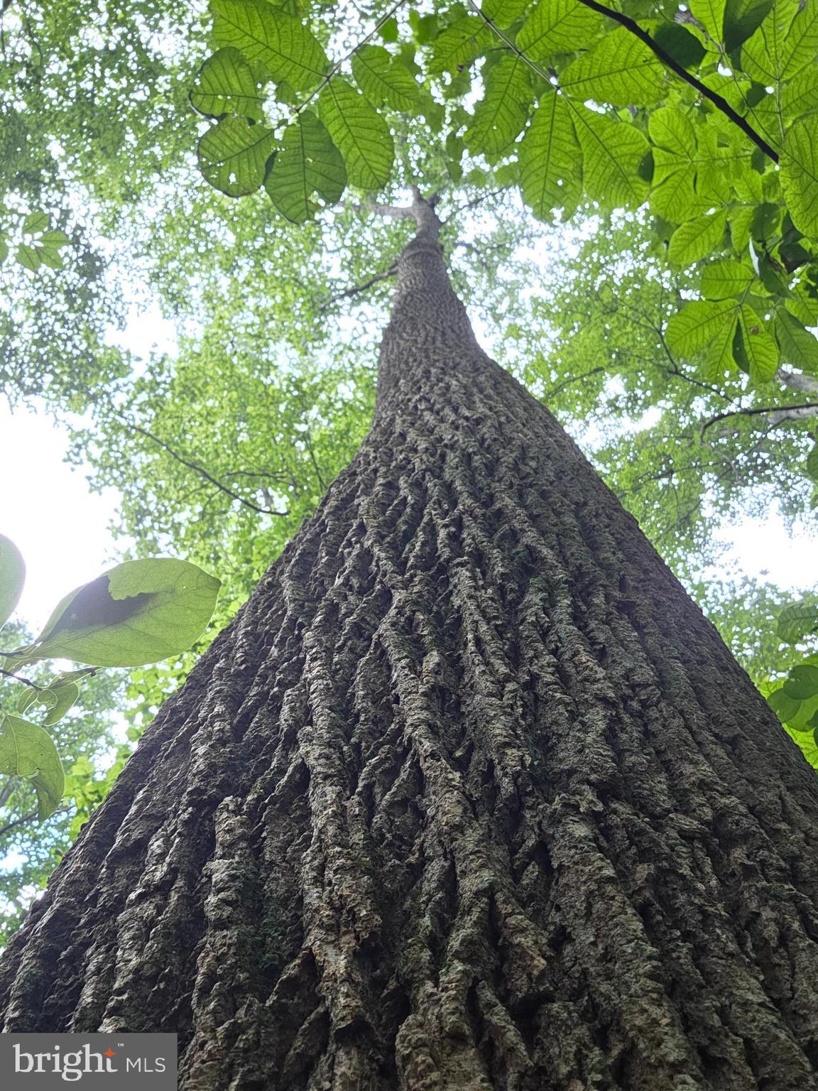 158 C Pleasant View Road Halifax, PA 17032 - Photo 54 of 59