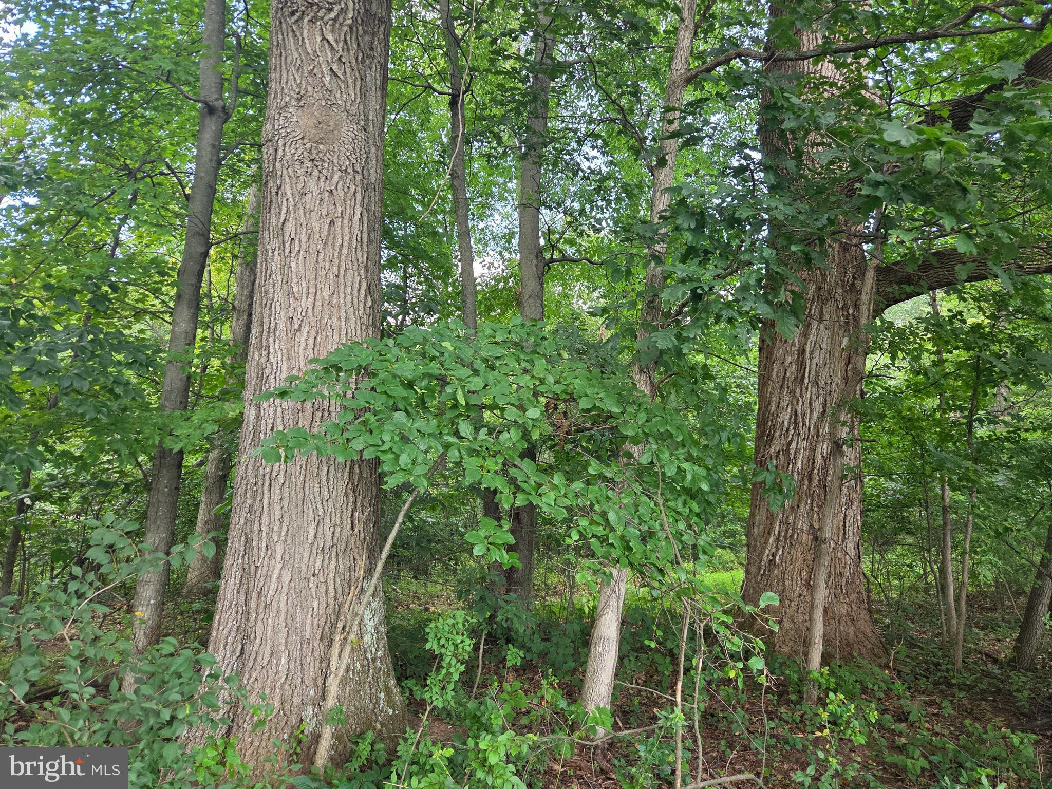 158 C Pleasant View Road Halifax, PA 17032 - Photo 55 of 59