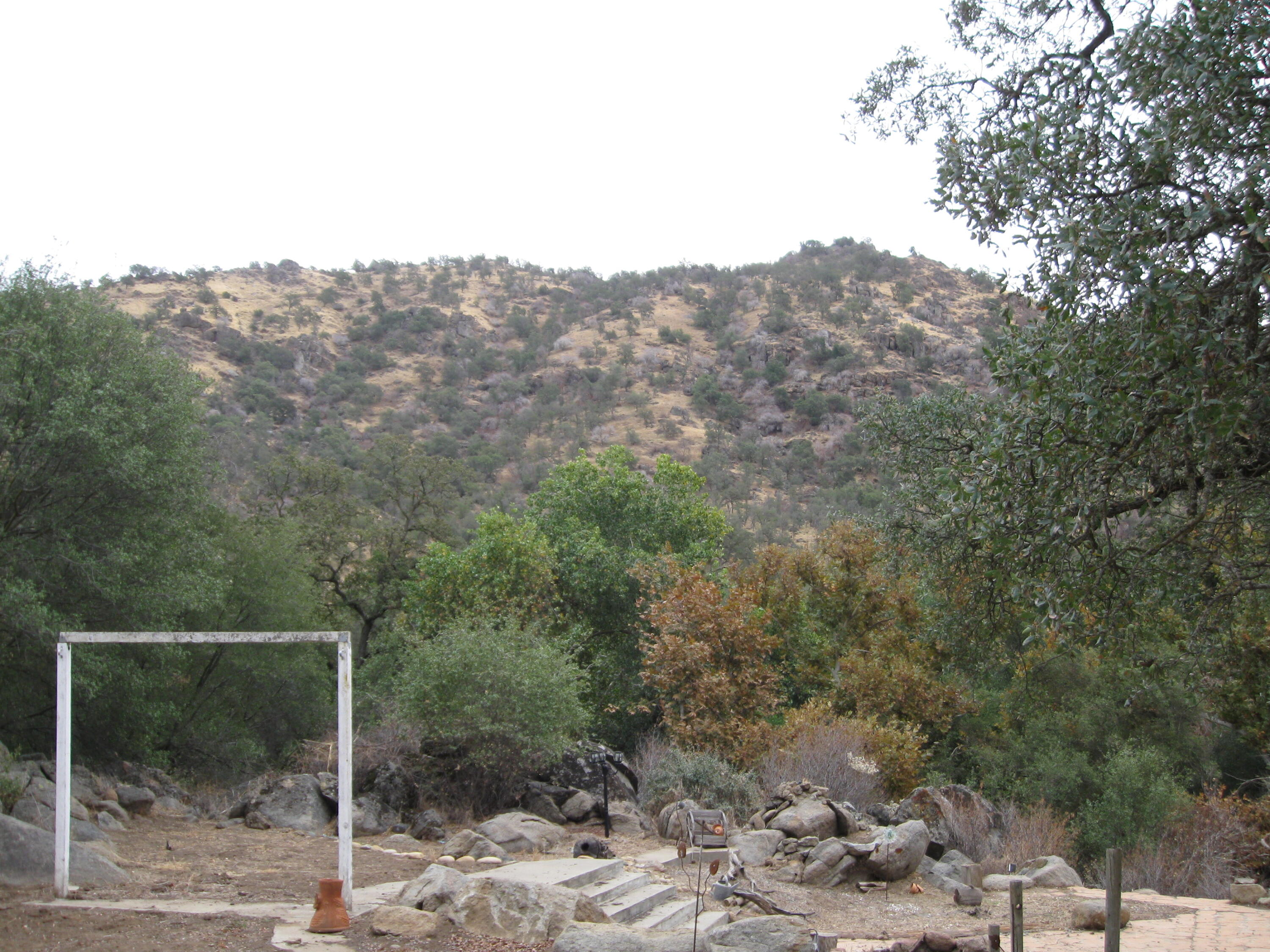 35548 Hummingbird Lane Squaw Valley, CA 93675 - Photo 23 of 33 IMG_4848