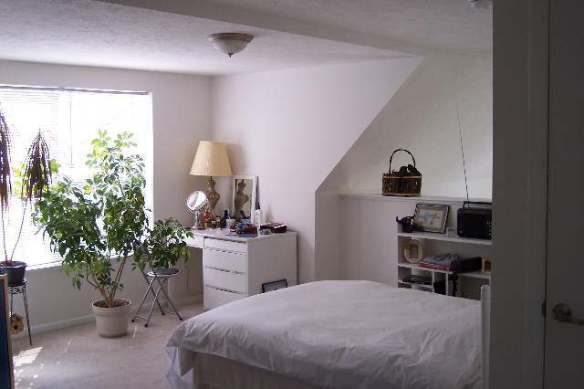 5198 Seymour Road Jackson, MI 49201 - Photo 6 of 9 Photo 6