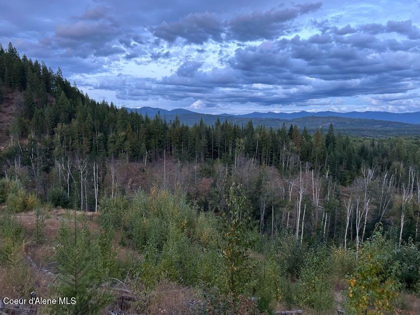 633 Old Mill Road Sandpoint, ID 83864 - Photo 47 of 50 Public lands