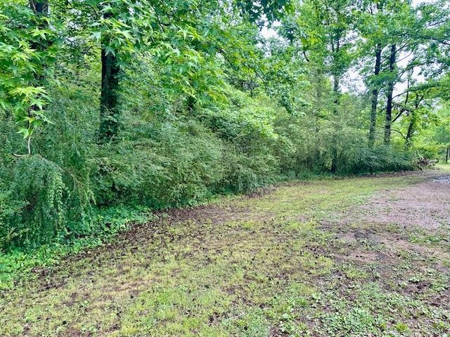 15 Brookwood Loop Adamsville, TN 38310 - Photo 17 of 21 a view of a large yard with lots of green space
