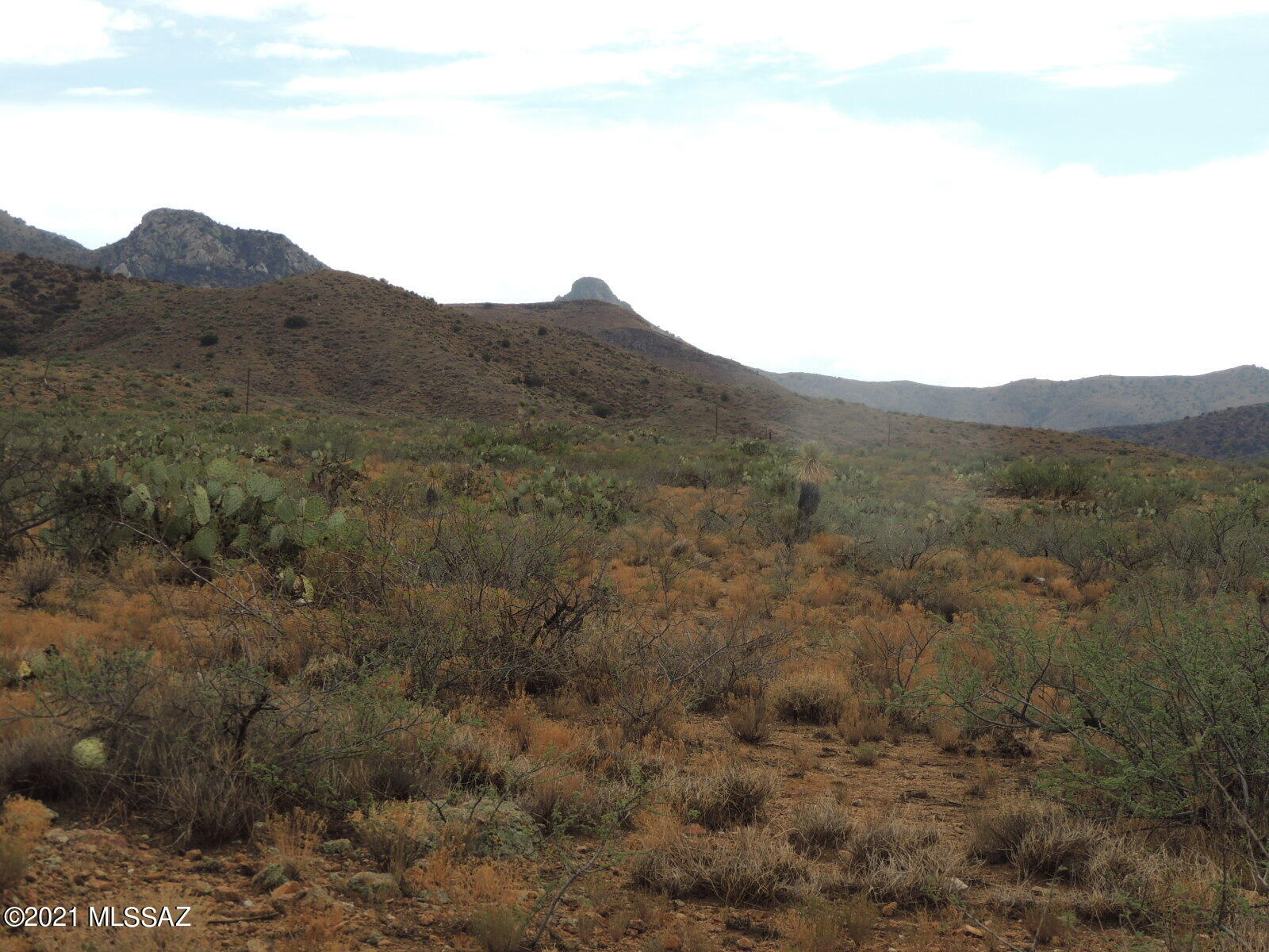 40.82 Acres Mulkins Ranch Road, Unit 11 Bowie, AZ 85605 - Photo 14 of 17