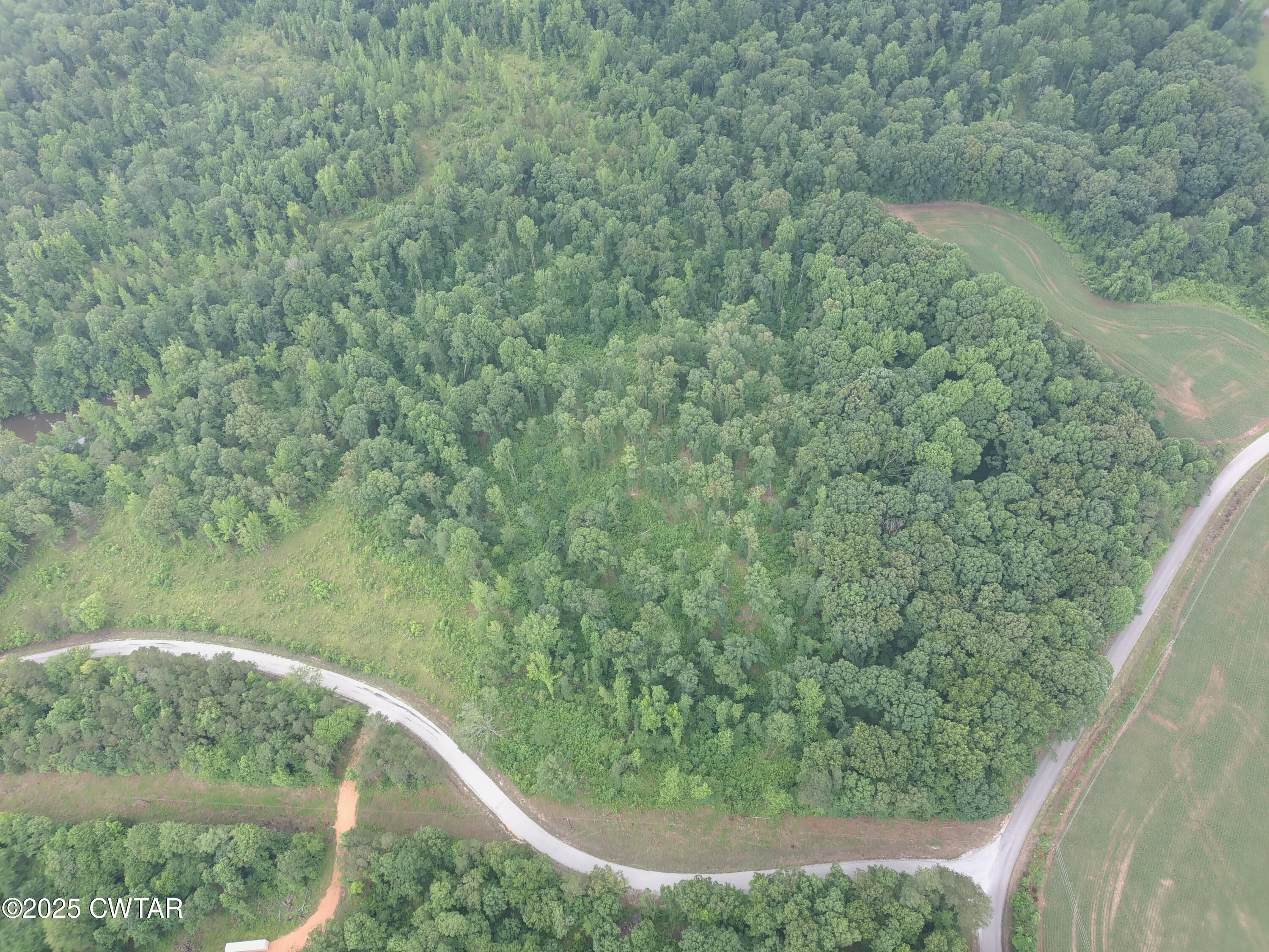 0 Butler (lot 20) Road Pinson, TN 38366 - Photo 2 of 3 a view of a forest from a window