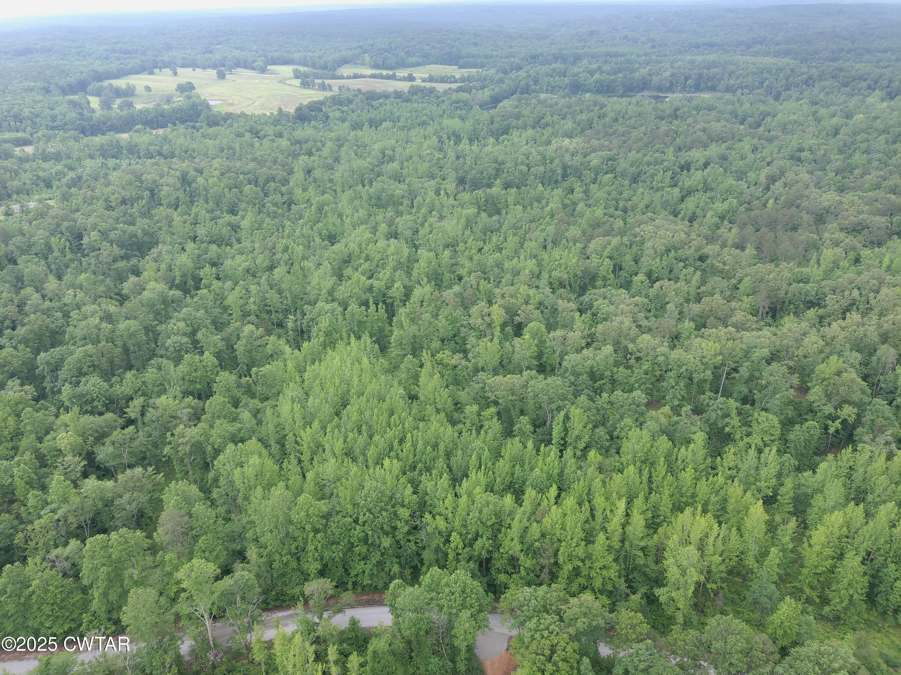 0 Butler (lot 20) Road Pinson, TN 38366 - Photo 3 of 3 a view of a field of grass and trees