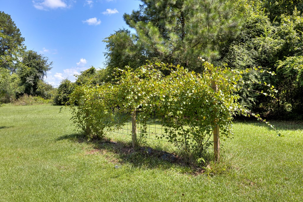 1225 Bell Road Sumter, SC 29153 - Photo 10 of 71 Gallery Image 10
