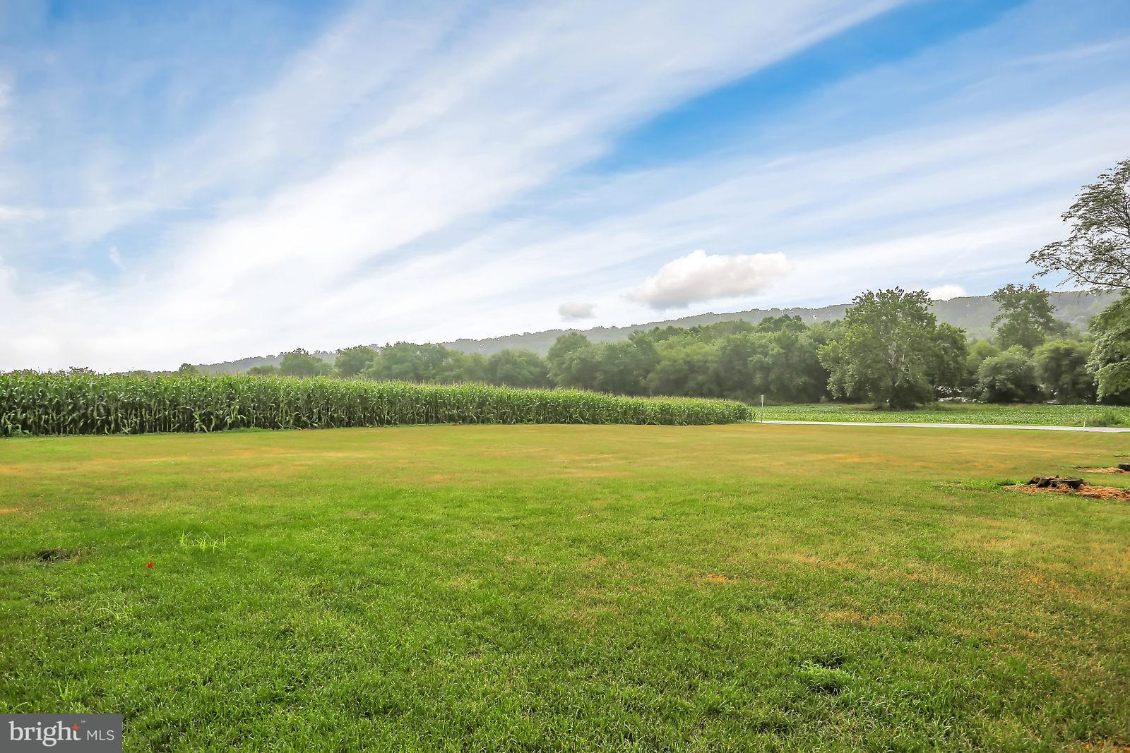 Lot 2 Hoffer Road Elizabethtown, PA 17022 - Photo 1 of 8 Gallery Image 1