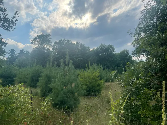 $562,000 | 9484 Sunrise Road, Harris, MN 55032