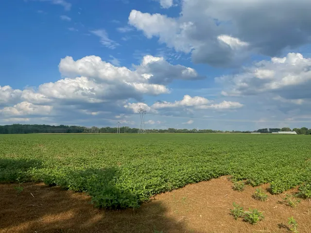 $562,000 | 9484 Sunrise Road, Harris, MN 55032