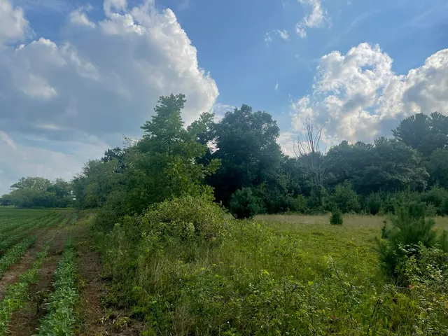 $562,000 | 9484 Sunrise Road, Harris, MN 55032