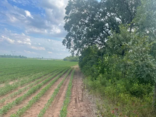 $562,000 | 9484 Sunrise Road, Harris, MN 55032