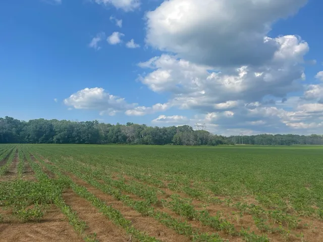 $562,000 | 9484 Sunrise Road, Harris, MN 55032