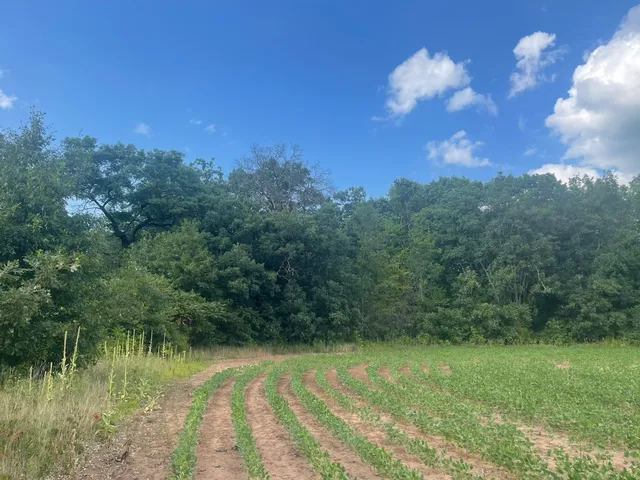 $562,000 | 9484 Sunrise Road, Harris, MN 55032