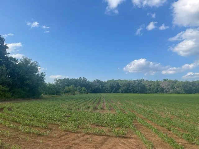 $562,000 | 9484 Sunrise Road, Harris, MN 55032