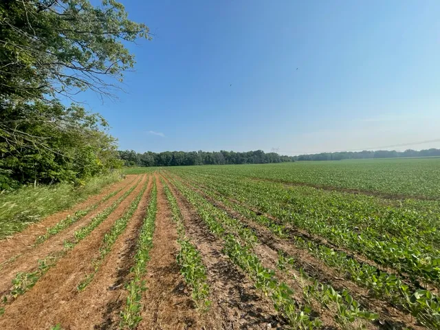 $562,000 | 9484 Sunrise Road, Harris, MN 55032