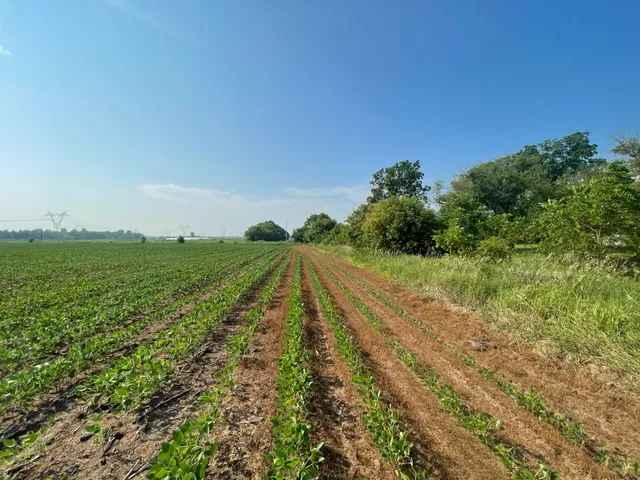 $562,000 | 9484 Sunrise Road, Harris, MN 55032