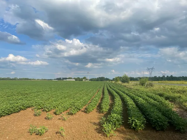 $562,000 | 9484 Sunrise Road, Harris, MN 55032