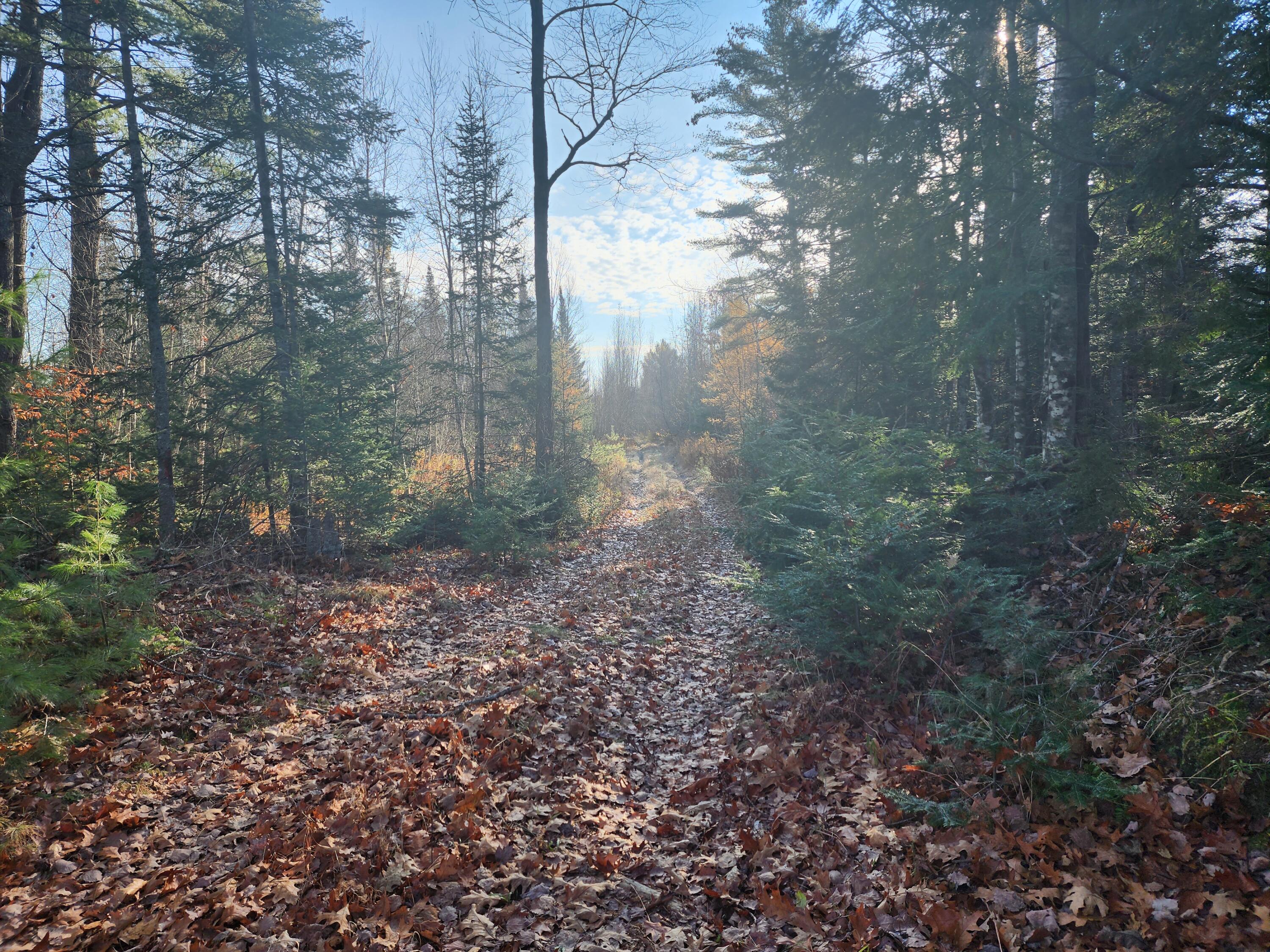 355-off Greenfield Road Milford, ME 04461 - Photo 4 of 10 20231115_091827