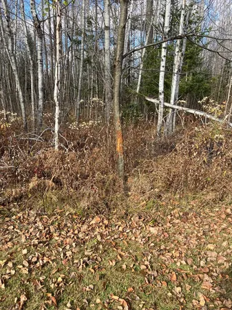 $335,900 | 9162 Keith Siding Road, Crandon, WI 54520