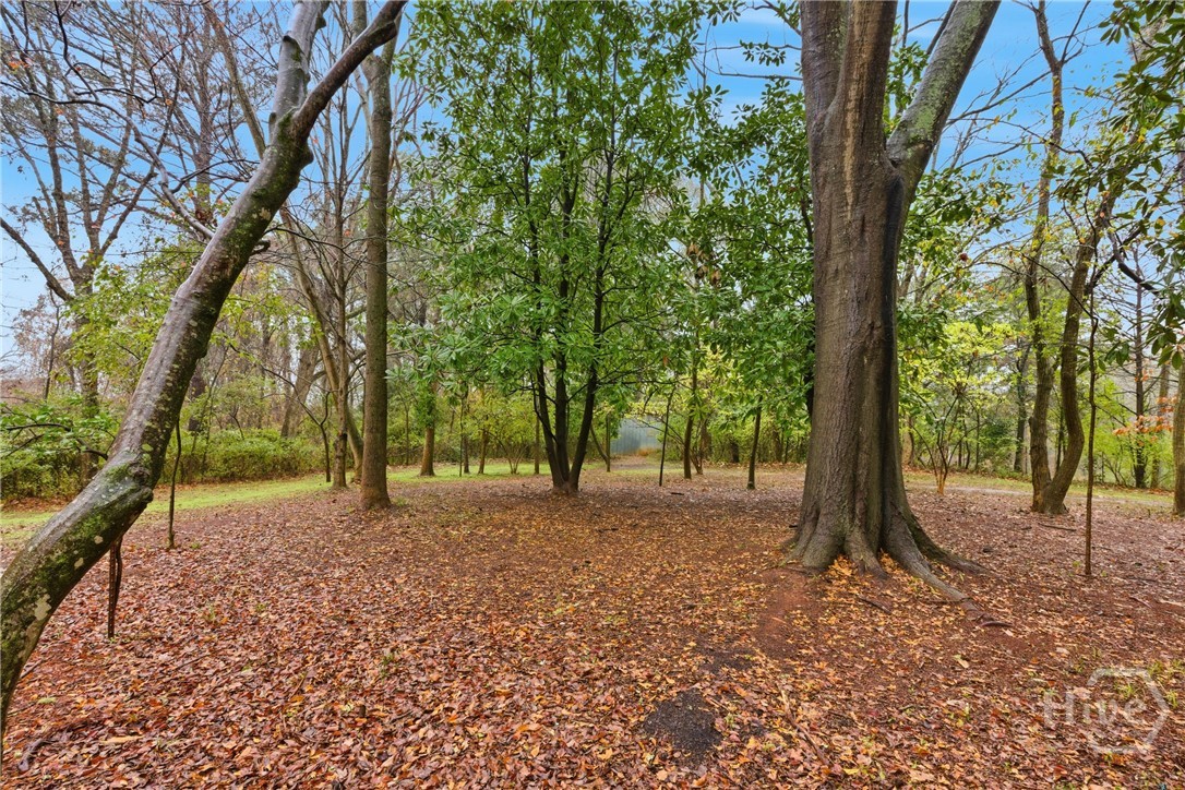 2569 Riverbend Road Athens, GA 30605 - Photo 34 of 44
