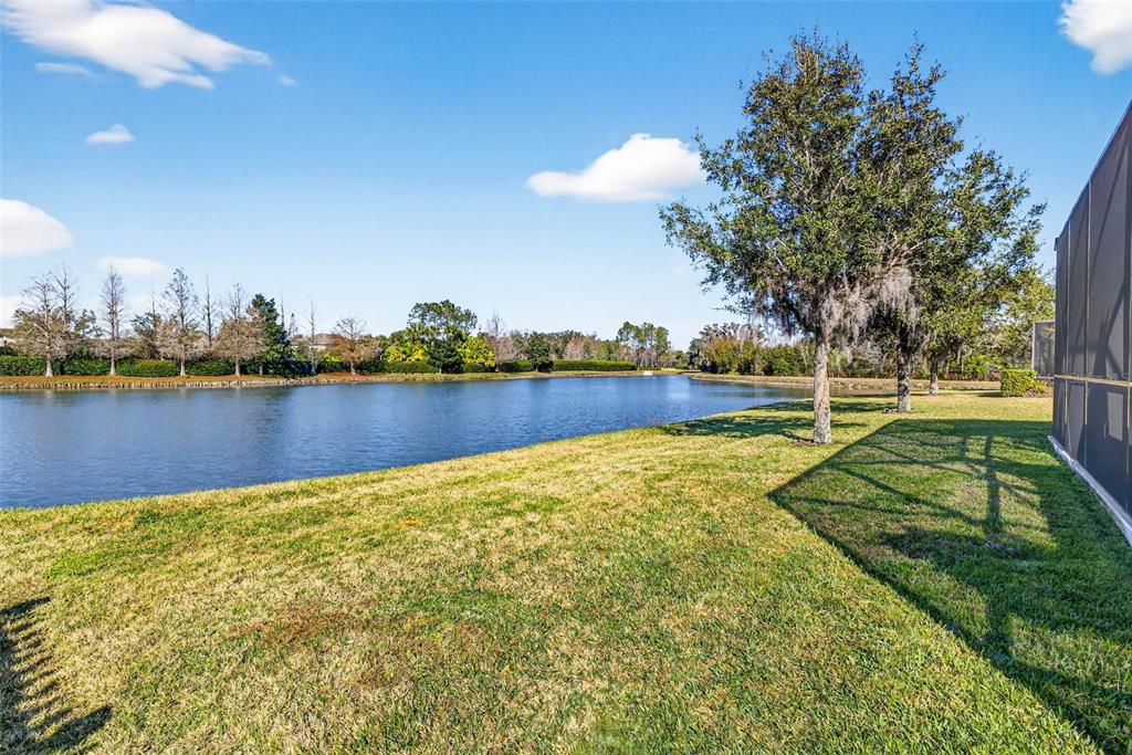 7035 Peregrina Loop Wesley Chapel, FL 33545 - Photo 54 of 74