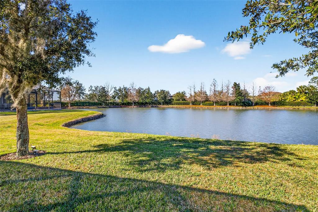 7035 Peregrina Loop Wesley Chapel, FL 33545 - Photo 55 of 74