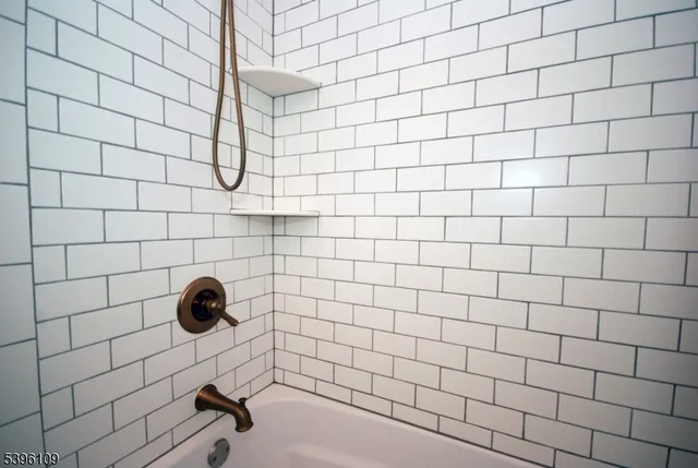 a view of a yard with plants and a large tree