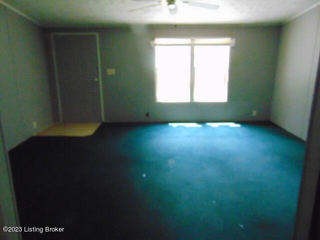1851 Woodrow Wilson Road Carrollton, KY 41008 - Photo 2 of 18 DSC08383