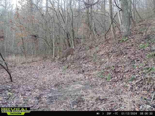 0 Cooper Road Greenup, KY 41144 - Photo 27 of 37 IMG_1113